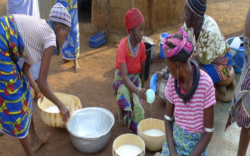 Sénégal / Saly accueille la 5e édition des Rencontres « Lait, vecteur de développement »