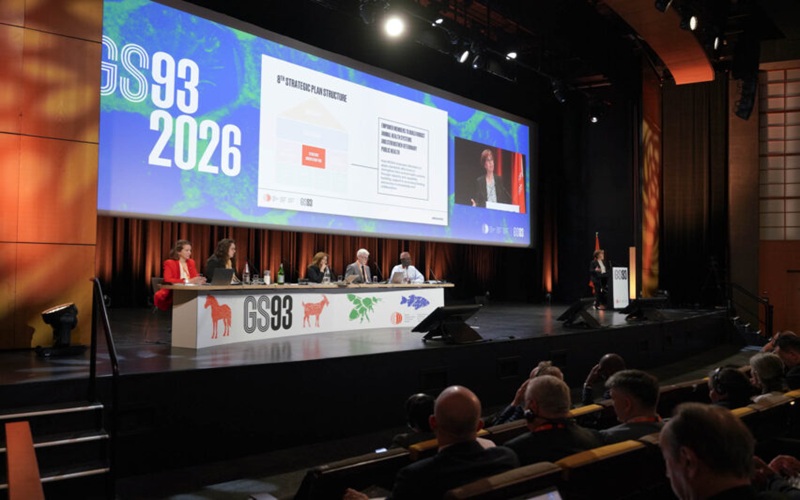 Plan stratégique OMSA