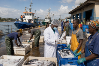 Ressources halieutiques Cameroun