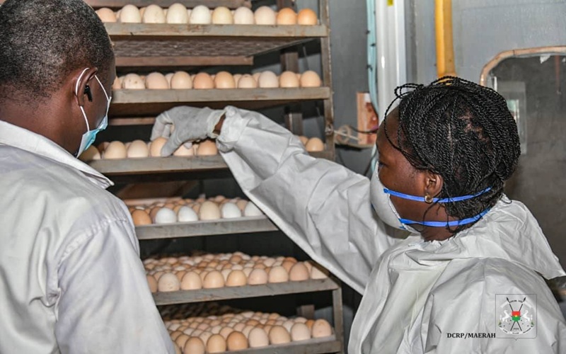 Sécurité sanitaire Burkina