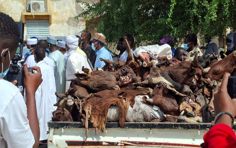 élevage au Tchad
