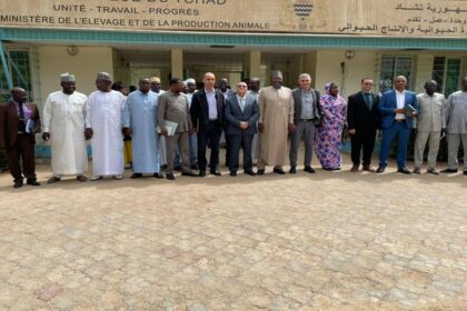 élevage au Tchad