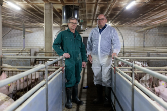filière porcine suisse