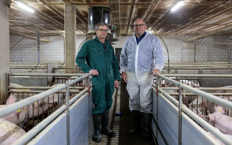 filière porcine suisse