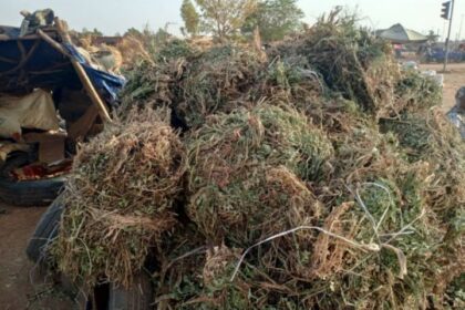 Le Ministère de l’Agriculture, de l’Eau et des Ressources animales et halieutiques