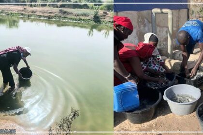 Une cinquantaine de femmes sénégalaises ont été formées