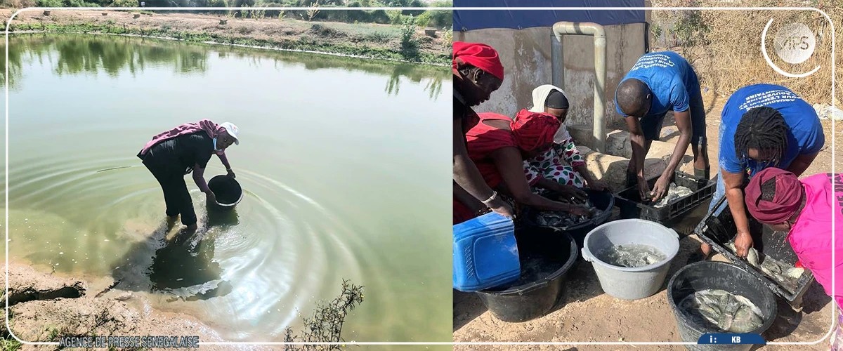 Une cinquantaine de femmes sénégalaises ont été formées