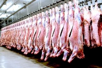 CAMEROUN /un nouvel abattoir industriel annoncé à Maroua