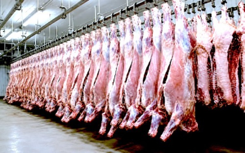 CAMEROUN /un nouvel abattoir industriel annoncé à Maroua