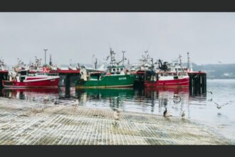 L’Irlande met en place un programme de soutien aux navires de pêche et d'aquaculture immatriculés