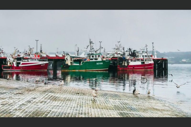 L’Irlande met en place un programme de soutien aux navires de pêche et d'aquaculture immatriculés