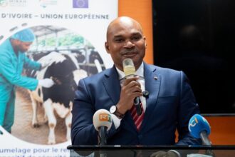 Jumelage Cote d'Ivoire UE