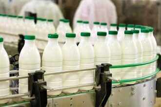 Afrique / Le Kenya devient le premier producteur de lait