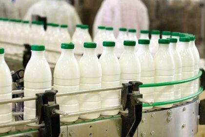 Afrique / Le Kenya devient le premier producteur de lait
