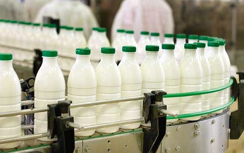 Afrique / Le Kenya devient le premier producteur de lait
