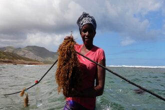 Aquaculture durable / la FAO adopte de nouvelles directives pour un développement responsable du secteur