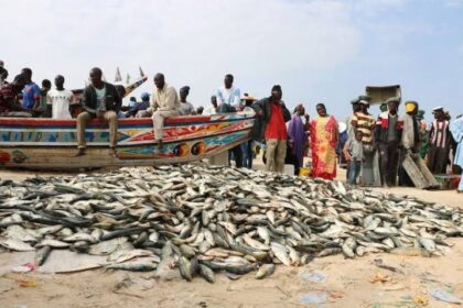Lomé a abrité une réunion régionale consacrée à la pêche artisanale.