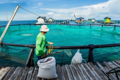 Pêche et aquaculture