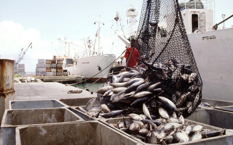 Journée internationale de la lutte contre la pêche illicite / un combat essentiel pour préserver les ressources halieutiques