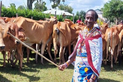 élevage au Kenya