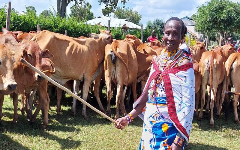 élevage au Kenya