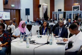 Le secteur de l'élevage pastoral africain doit se muer en un moteur majeur de croissance économique, d'emploi, de commerce
