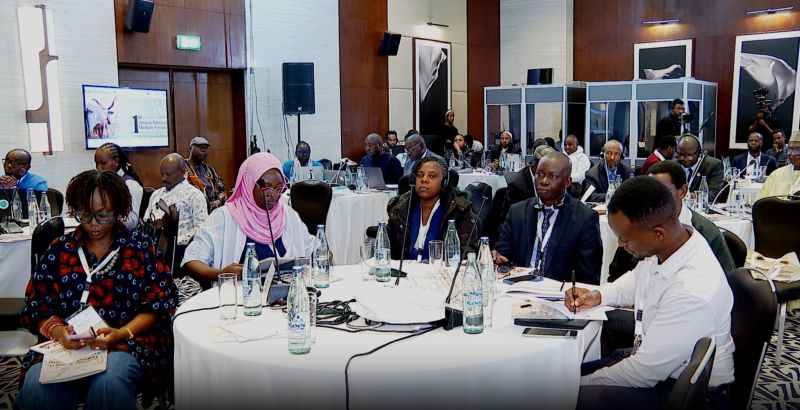 Le secteur de l'élevage pastoral africain doit se muer en un moteur majeur de croissance économique, d'emploi, de commerce