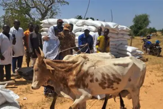 Agropastorale au Burkina