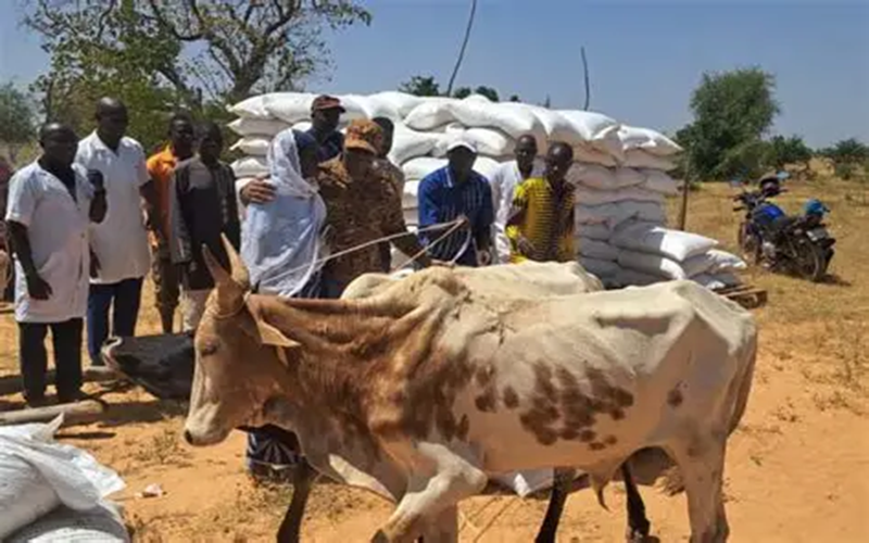 Agropastorale au Burkina