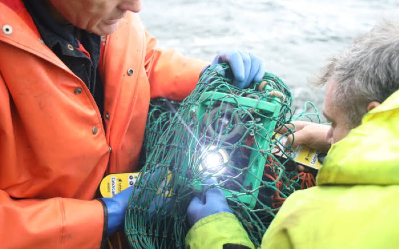Le marché de l'intelligence artificielle dans la pêche et l’aquaculture durables en pleine croissance