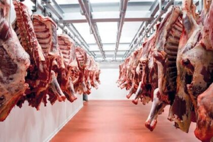 États-Unis / les tensions commerciales et une crise sanitaire font flamber les prix du bœuf