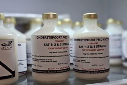 vaccin contre la fièvre aphteuse