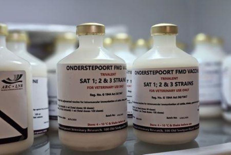 vaccin contre la fièvre aphteuse