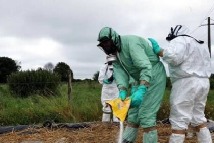 L’Afrique du Sud a mis en place un nouveau cadre national de gestion de la fièvre aphteuse, conçu pour améliorer le contrôle des épidémies, soutenir les éleveurs pendant la période de convalescence
