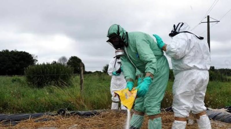 L’Afrique du Sud a mis en place un nouveau cadre national de gestion de la fièvre aphteuse, conçu pour améliorer le contrôle des épidémies, soutenir les éleveurs pendant la période de convalescence
