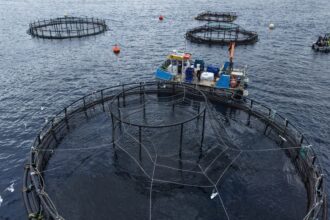 aquaculture marine Sénégal