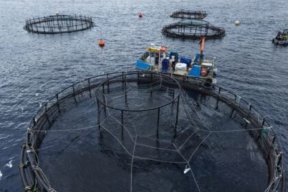 aquaculture marine Sénégal