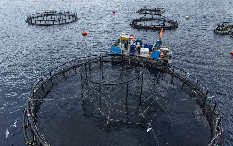 aquaculture marine Sénégal