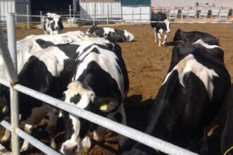 suspension des droits de douane sur l'importation