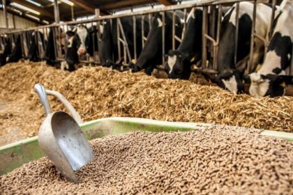 Le Maroc a importé 23 700 tonnes d’aliments pour bétail