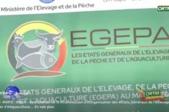 Souveraineté alimentaire