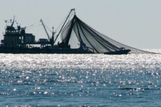 La Chine refuse de signer un accord pour lutter contre la pêche illégale