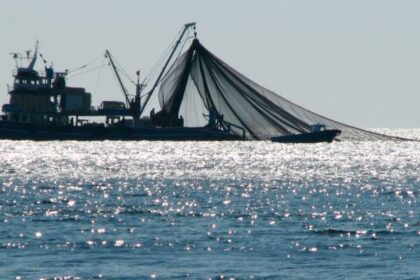 La Chine refuse de signer un accord pour lutter contre la pêche illégale