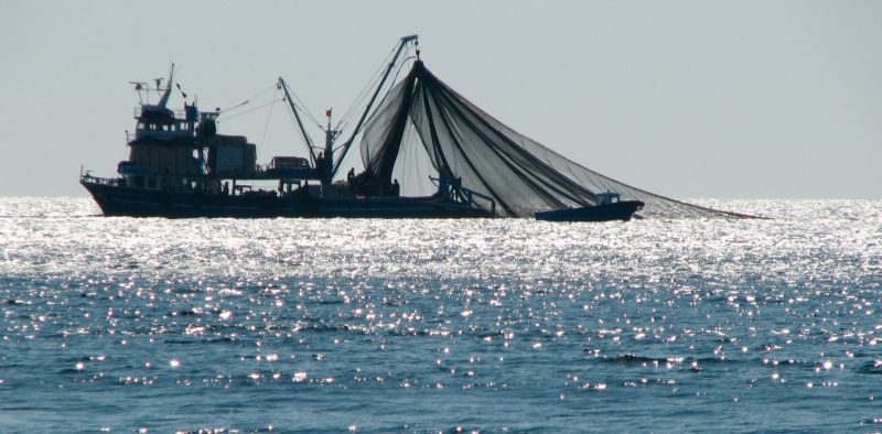 La Chine refuse de signer un accord pour lutter contre la pêche illégale