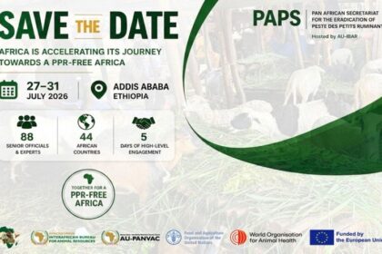 peste des petits ruminants en Afrique