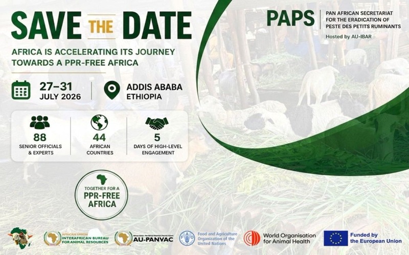 peste des petits ruminants en Afrique