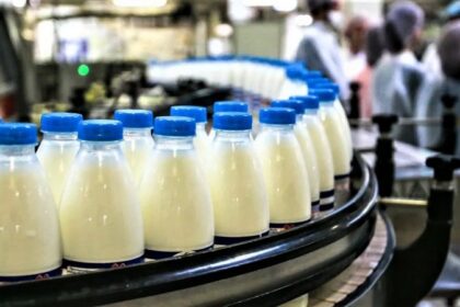 Le déficit laitier maintient les prix du lait élevés.