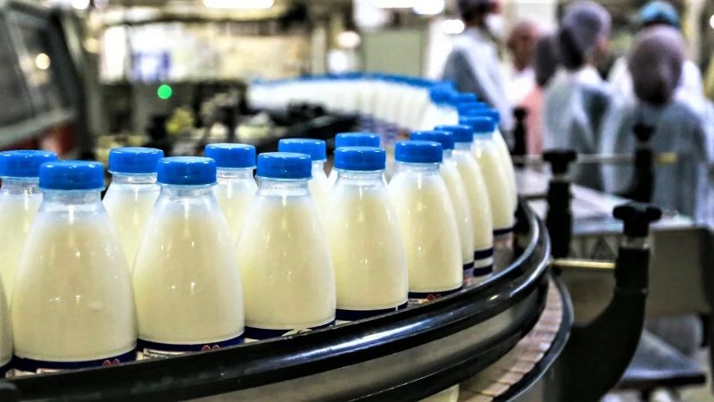 Le déficit laitier maintient les prix du lait élevés.