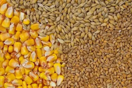 aliments pour animaux