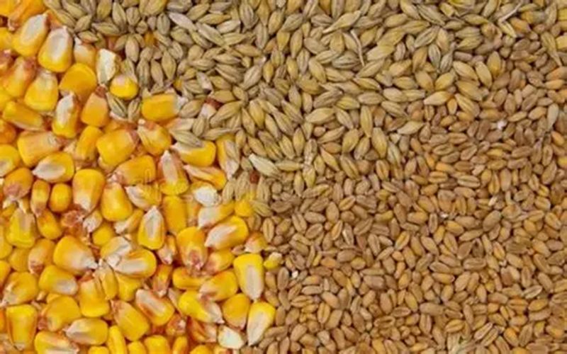 aliments pour animaux